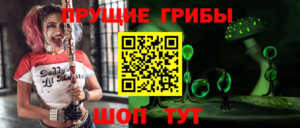 Псилоцибиновые грибы Magic Shrooms  Вход с VPN  Славянск-на-Кубани 